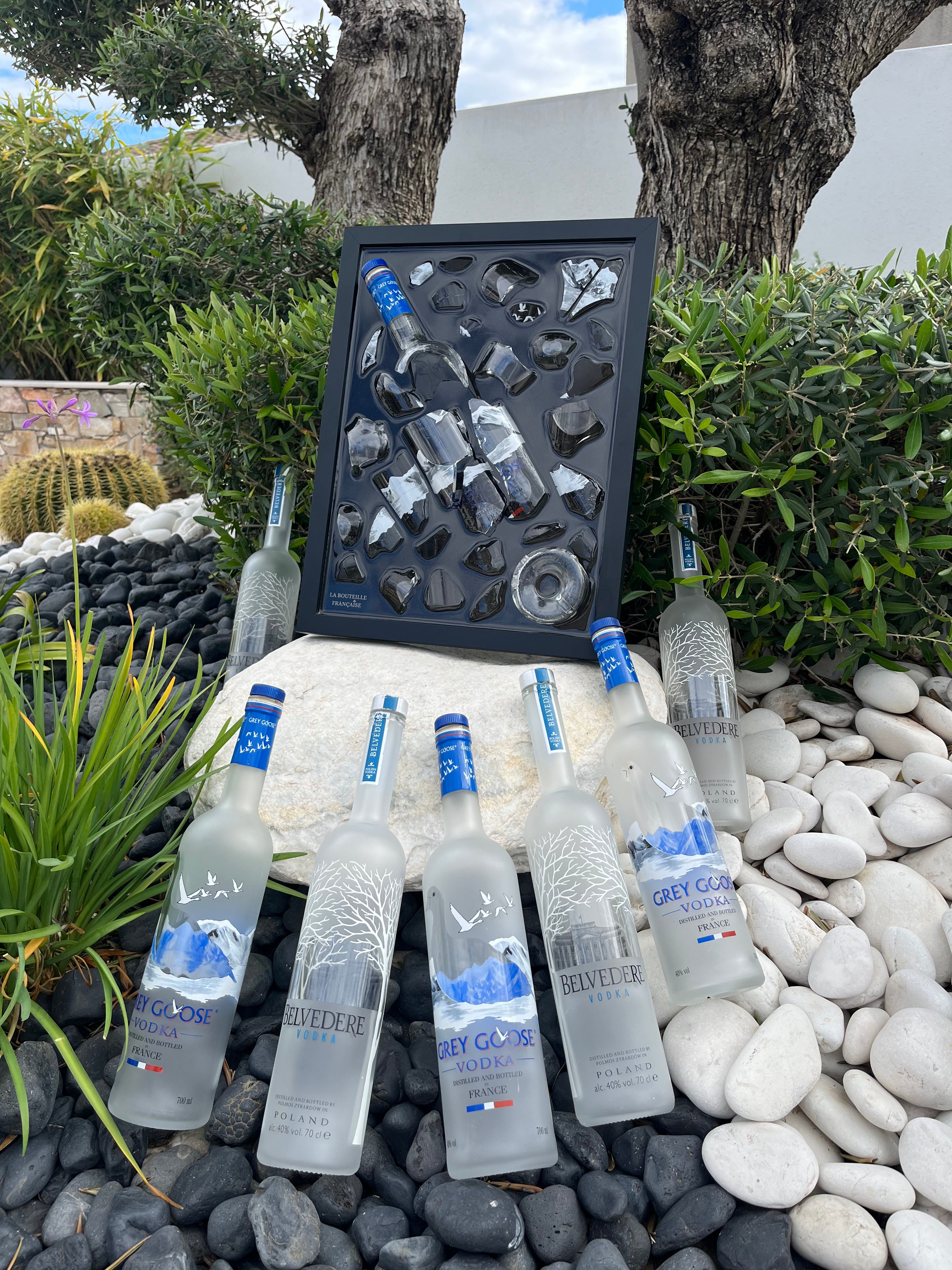 Tableau Vodka grey goose et belvédère